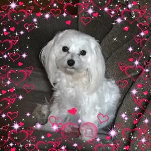 Meet your Posher, Jana